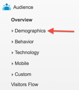 Google Analytics Audience Report