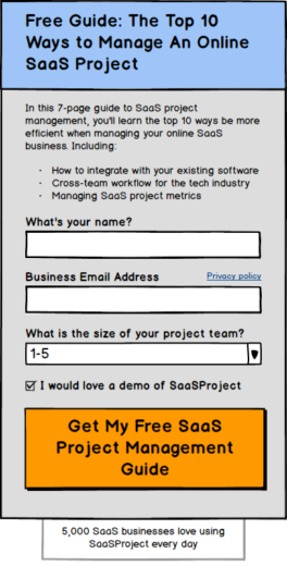 A Wireframe Example of a Lead Generation Form