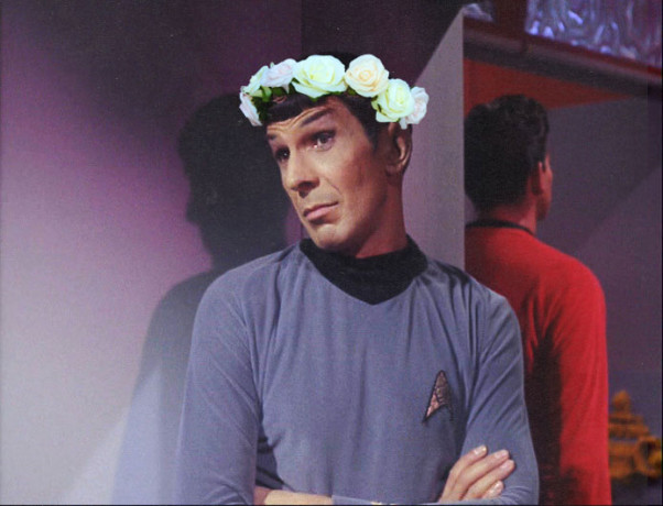 spock_flower