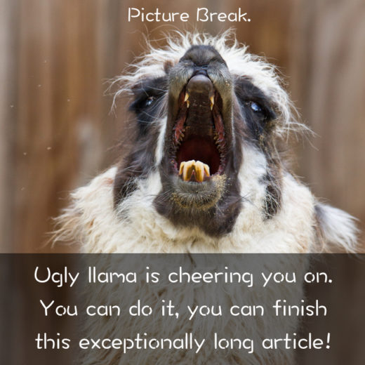 ugly llama picture break