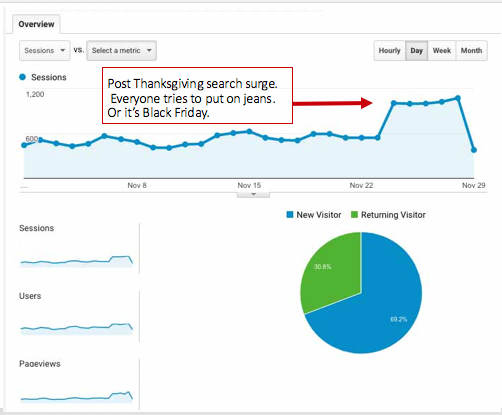 Paid Search traffic overview report from Google Analytics