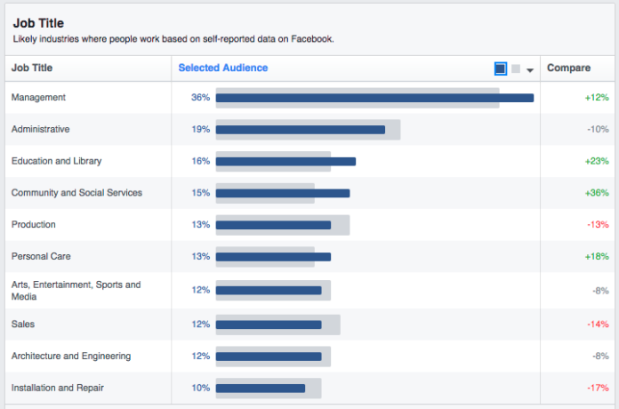 Demographic tab of Facebook Audience Insights