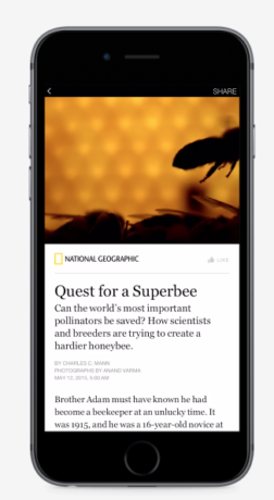 Facebook placement instant articles