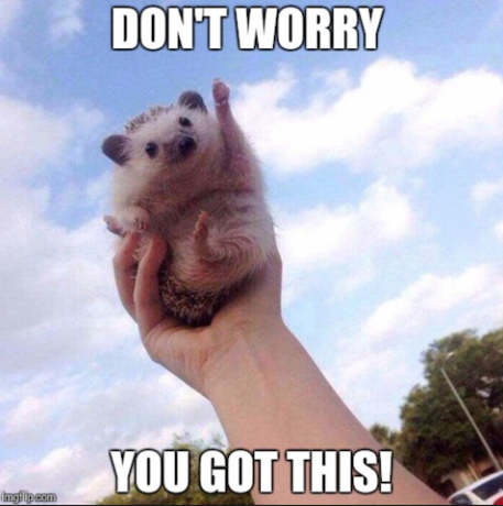Don't worry, you got this!