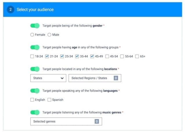set up settings for audiogo audience