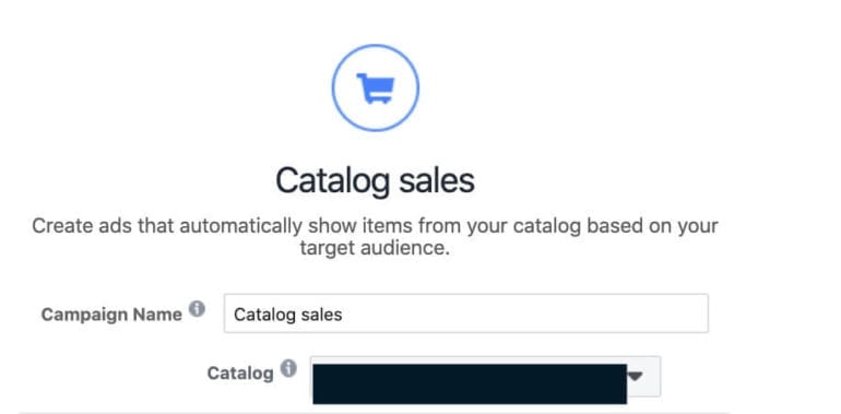 Naming your catalog sales campaign and selecting your catalog on Facebook